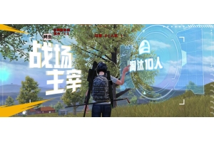和平精英奢梵辅助-和平精英容器安装多功能助手