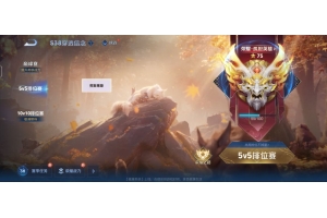 王者荣耀金盾端口-实体方框上帝内透直装版