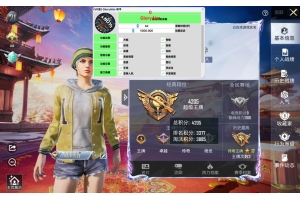 和平精英苏苏内部-和平精英上色内透应用